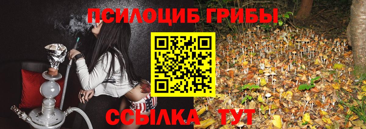 Псилоцибиновые грибы Cubensis Семёнов